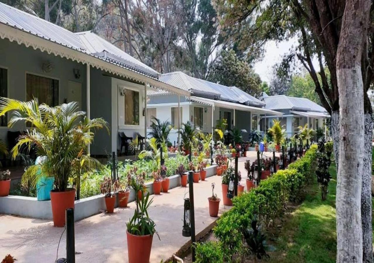 Greendale Resort Pachmarhi Ngoại thất bức ảnh