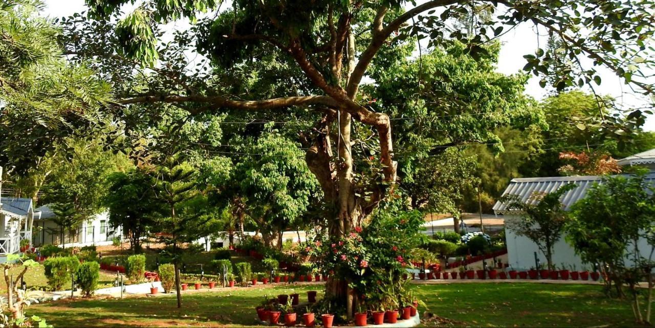 Greendale Resort Pachmarhi Ngoại thất bức ảnh